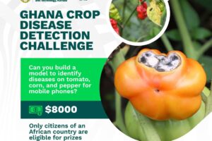 rail data challenge crop disease dataset